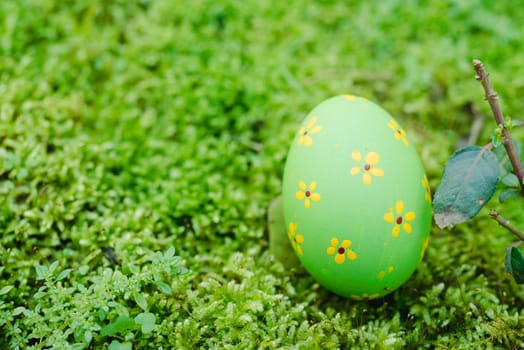 Beautiful Easter Green color egg on garden green grass, Easter day concept