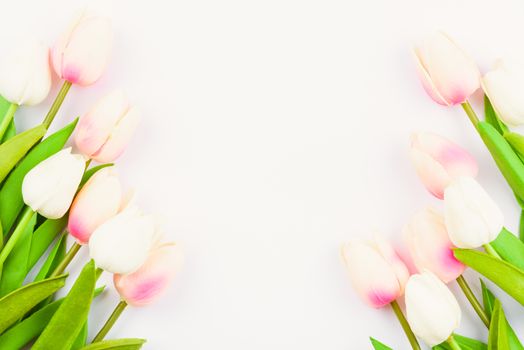 Happy Women's Day, Mother's Day and Valentine's Day concept. top view flat lay Tulip flower on white background, copy space for your text