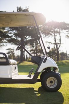 White golf buggy on field during sunny day