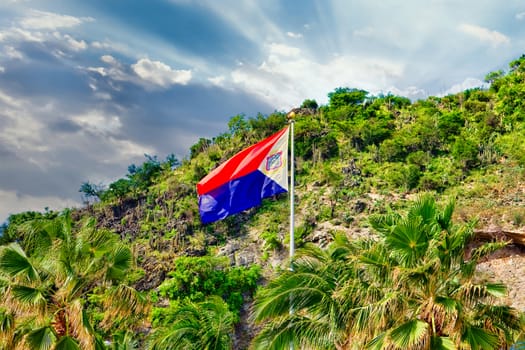 A caribbean flag in front of a tropical mountain