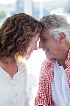 Close-up of smiling romantic couple in restaurant