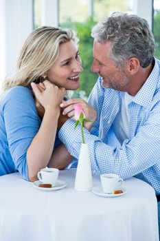 Mature romantic couple in restaurant