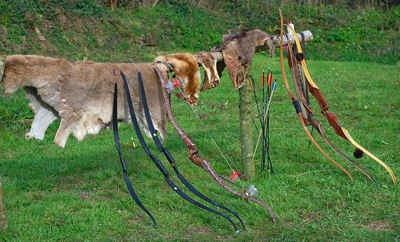 Medieval hunters equipment and trophy on display