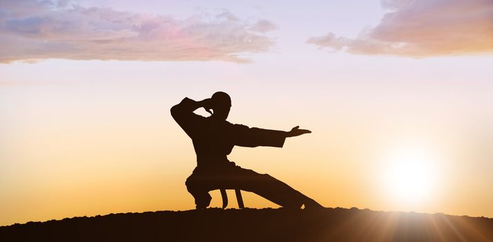 Fighter performing karate stance against clouds