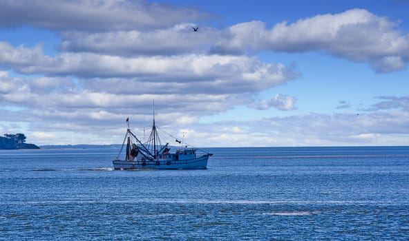 A shrimp boat heading out into the bay in the morning