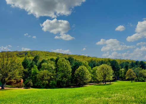 Rolling hills covered with green trees against blue sky