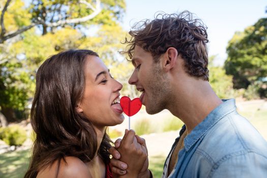 Romantic couple licking a heart shaped lollypop in park on a sunny day