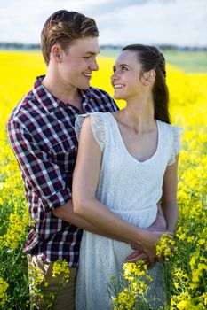 Romantic couple standing in mustard field on a sunny day