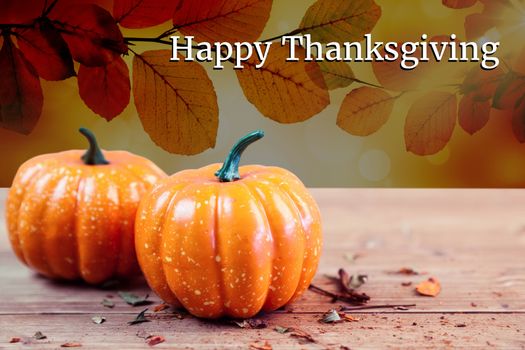 Digital Composite of Thanksgiving Message and Pumpkins on Autumn Background Design