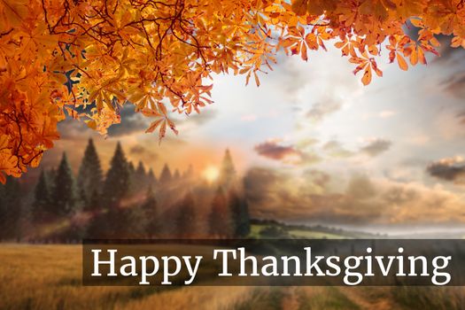 Digital Composite of Thanksgiving Message on Autumn Background Design