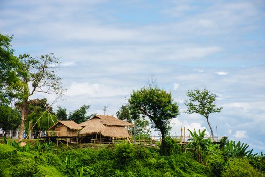 This place is located on Doi Tung, a popular viewpoint and tourist attraction in Chiang Rai Province.