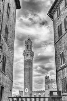 View of Torre del Mangia medieval tower, located in Piazza del Campo, it is one of the most iconic landmark of Siena, Italy