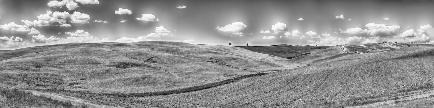 Panoramic landscape of dry fields in the countryside in Tuscany, Italy. Concept for agriculture and farmlands