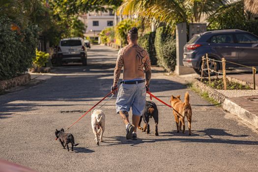 DOMINICUS, DOMINICAN REPUBLIC 6 FEBRAURY 2020: Tattooed man walks the dogs