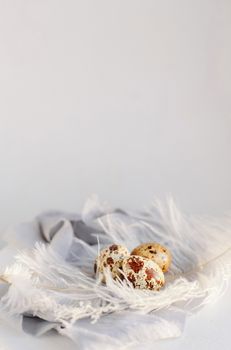 Easter eggs with white feather on white and gray background. Copy space. Happy Easter holiday, front and top view.