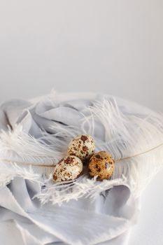 Easter eggs with white feather on white and gray background. Happy Easter holiday, front and top view.