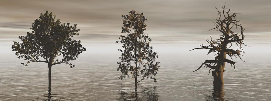 beautiful ocean view with two large trees and sky - 3d rendering