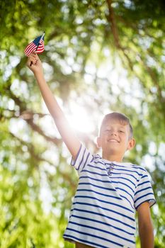 Boy holding small american flag in a park