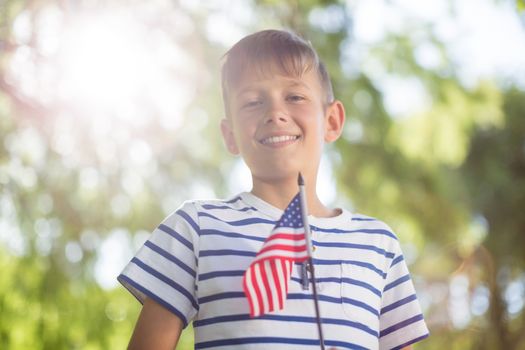 Boy holding small american flag in a park