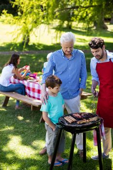 Grandfather, father and son barbequing in the park with family in background