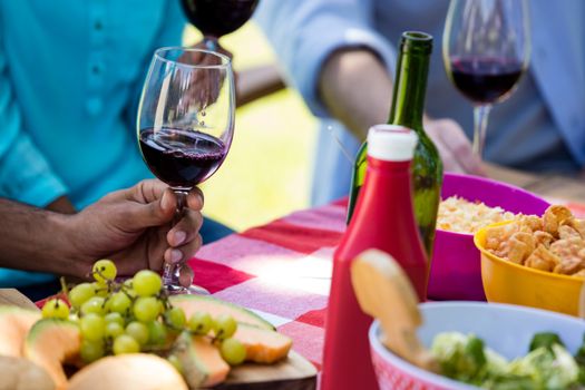 Family having meal and glasses of wine in park