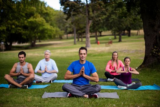 Group of people performing yoga in park