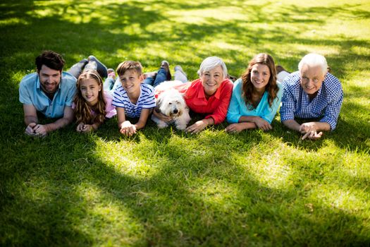 Family placing blanket in park on sunny a day