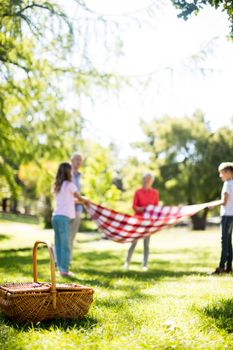 Family placing blanket in park on sunny a day