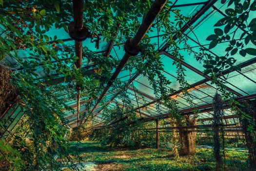 Abandoned places such as factories, farmhouses, shops, houses, facilities and clinics in Germany