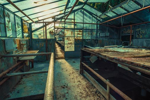 Abandoned places such as factories, farmhouses, shops, houses, facilities and clinics in Germany