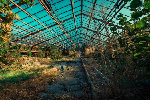 Abandoned places such as factories, farmhouses, shops, houses, facilities and clinics in Germany