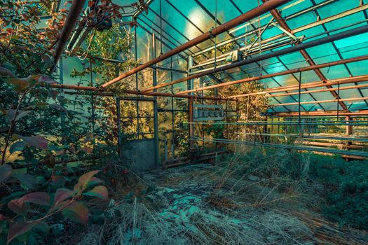 Abandoned places such as factories, farmhouses, shops, houses, facilities and clinics in Germany