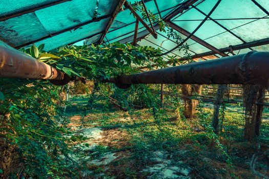 Abandoned places such as factories, farmhouses, shops, houses, facilities and clinics in Germany