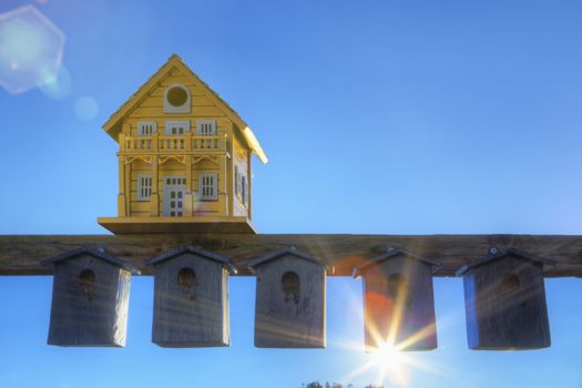 Rich and poor bird boxes themes of wealth contrast shelter