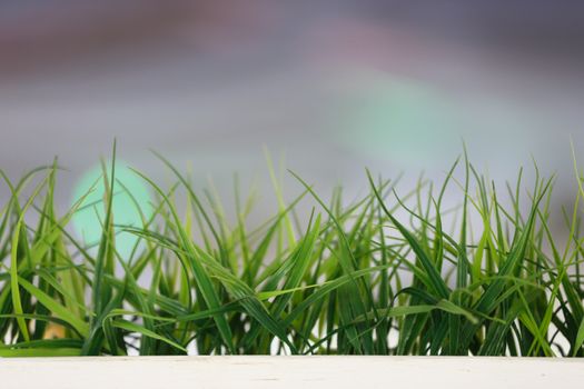 Green grass in a box