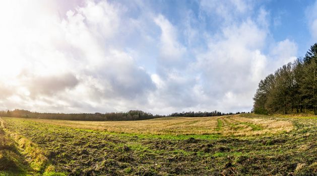 Rural panorama landscape in the morning with muddy fields surrounded by trees under a blue sky in the fall