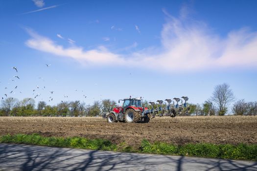 Red tractor ploughing a rural field in the spring with seagulls flying over the soil