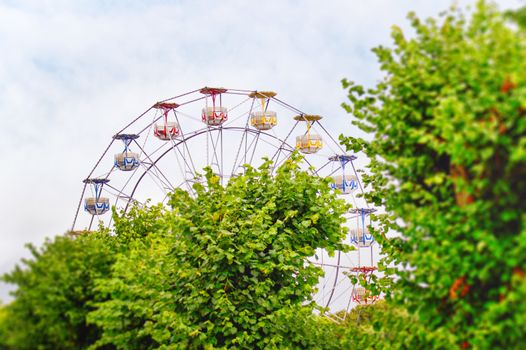 Amusement park with a ferris wheel behind some green trees in the summer