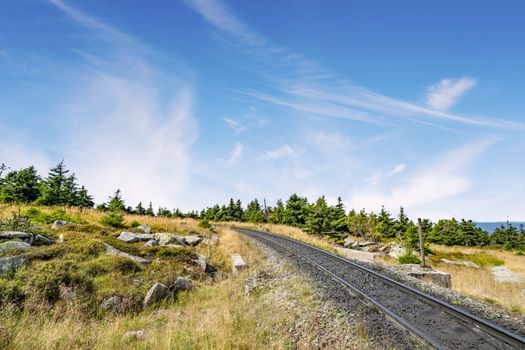 Railroad tracks in a dry nature landscape with green pine trees in the summer