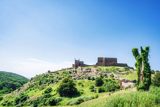 Ancient castle on a green hill with trees and bushes under a blue sky in the summer