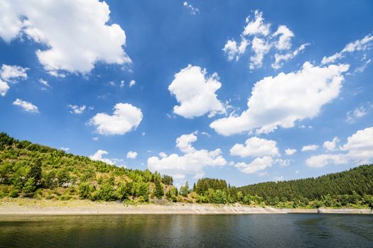 Green trees around a lake in the summer under a blue sky