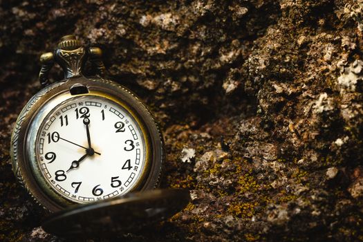 Vintage old pocket watch placed on the rock in forest and morning sunlight. At 8 o’clock. Closeup and copy space.