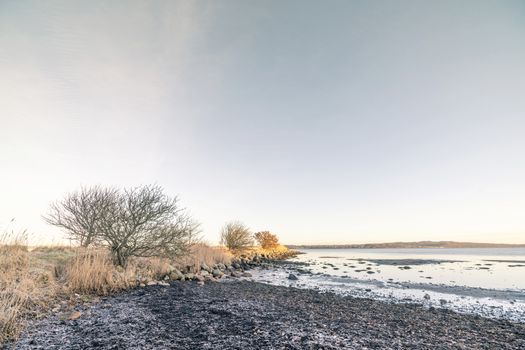 Coastline in the morning sunrise with frost on the beach in the winter