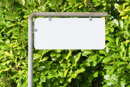 Blank sign on a street with a green bush in the background