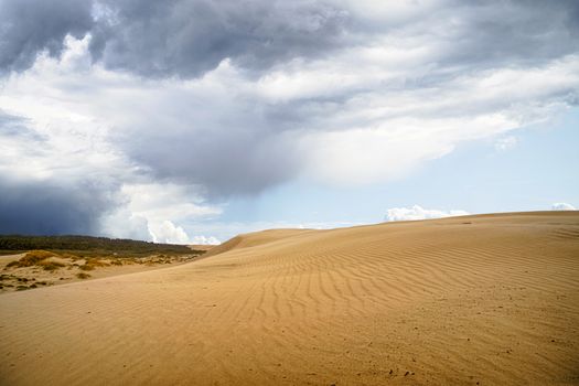 Sand dune in a desert with dark clouds coming in over the dry land