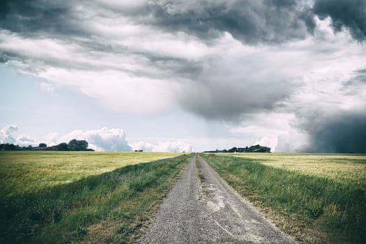 Rural landscape with dark clouds over a countyside road with wildflowers by the roadside