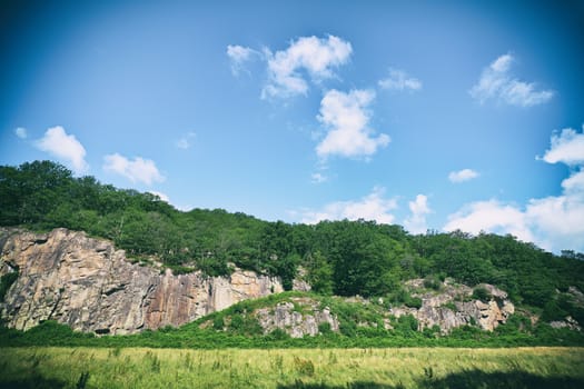 Green forest on a hillside with cliffs and a field in the front under a blue sky