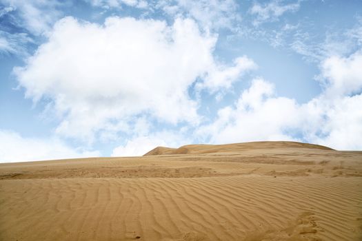 Desert with sand ripples under a blue sky in a very dry environment