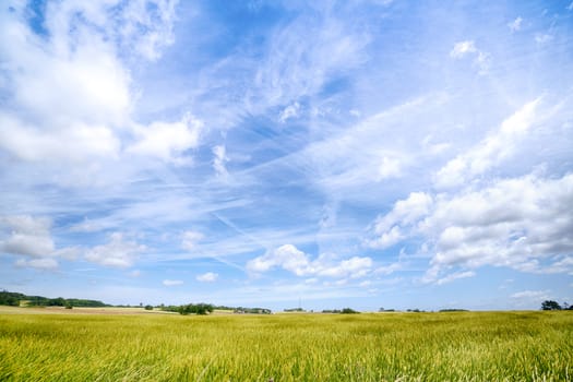 Countryside landscape with a dramatic blue sky and fresh green crops on a rural field