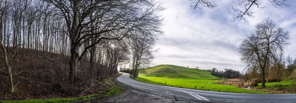 Curvy road in a forest panorama scene in a rural countryside landscape with trees and fields